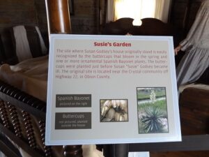 Information on Susan Godsey's homestead