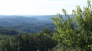 Photograph from the top of Pine Mountain overlooking Kentucky.  The photograph was taken by Joanna Adams Sergent in July 2022.